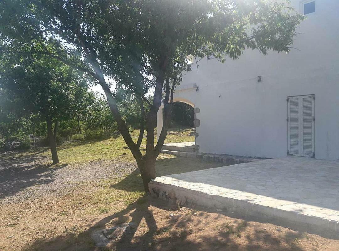 מסלניקה Apartmani Lucija מראה חיצוני תמונה